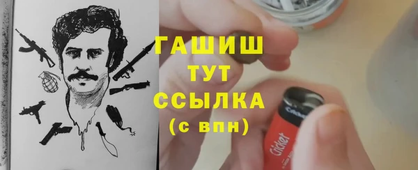 шишки Краснотурьинск