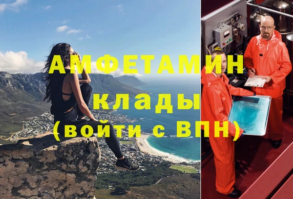 шишки Краснотурьинск