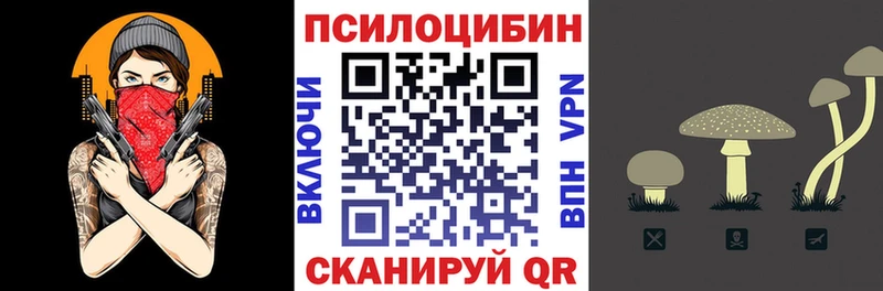 Псилоцибиновые грибы мухоморы  Купить закладки  Таганрог 